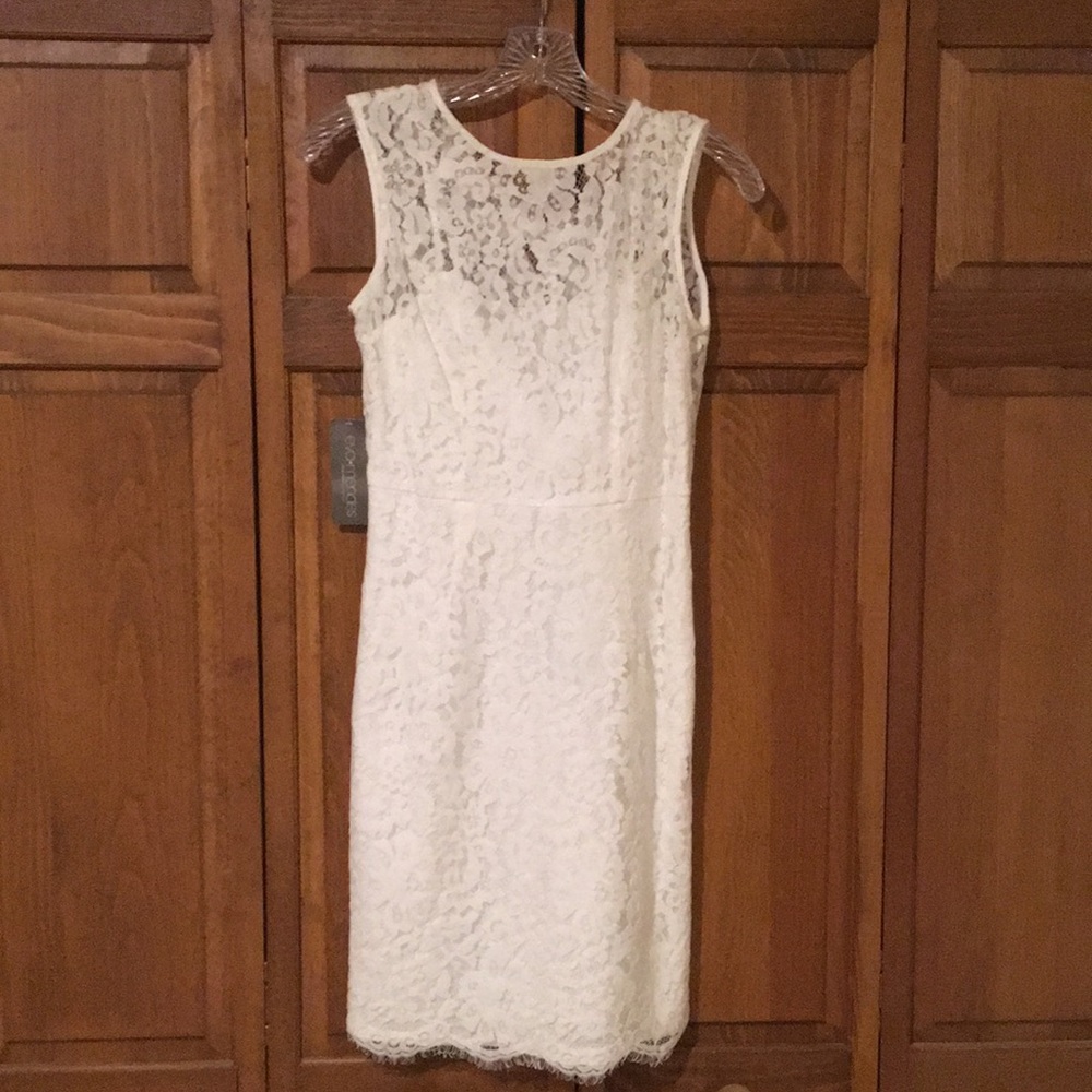 Express Eva Mendes Dress